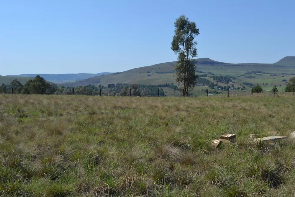 Vacant land for sale in Underberg - 1UB1683424 Vacant land for sale in Underberg - 1UB1683424