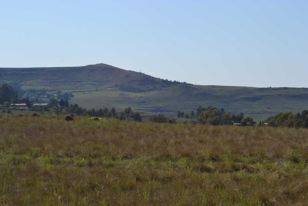 Vacant land for sale in Underberg - 1UB1683424