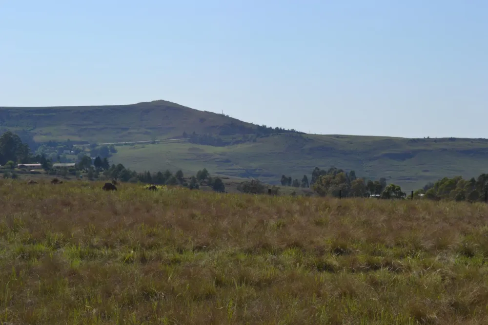 Vacant land for sale in Underberg - 1UB1683424 Vacant land for sale in Underberg - 1UB1683424