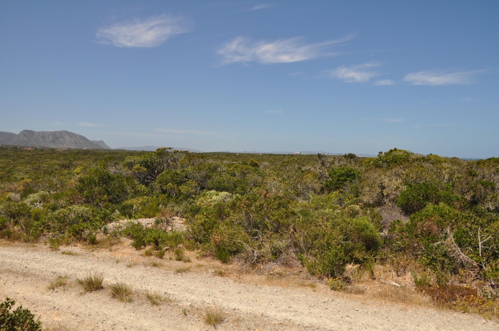 Residential vacant land for sale in Dangerpoint - 1SW1465766 Residential vacant land for sale in Dangerpoint - 1SW1465766