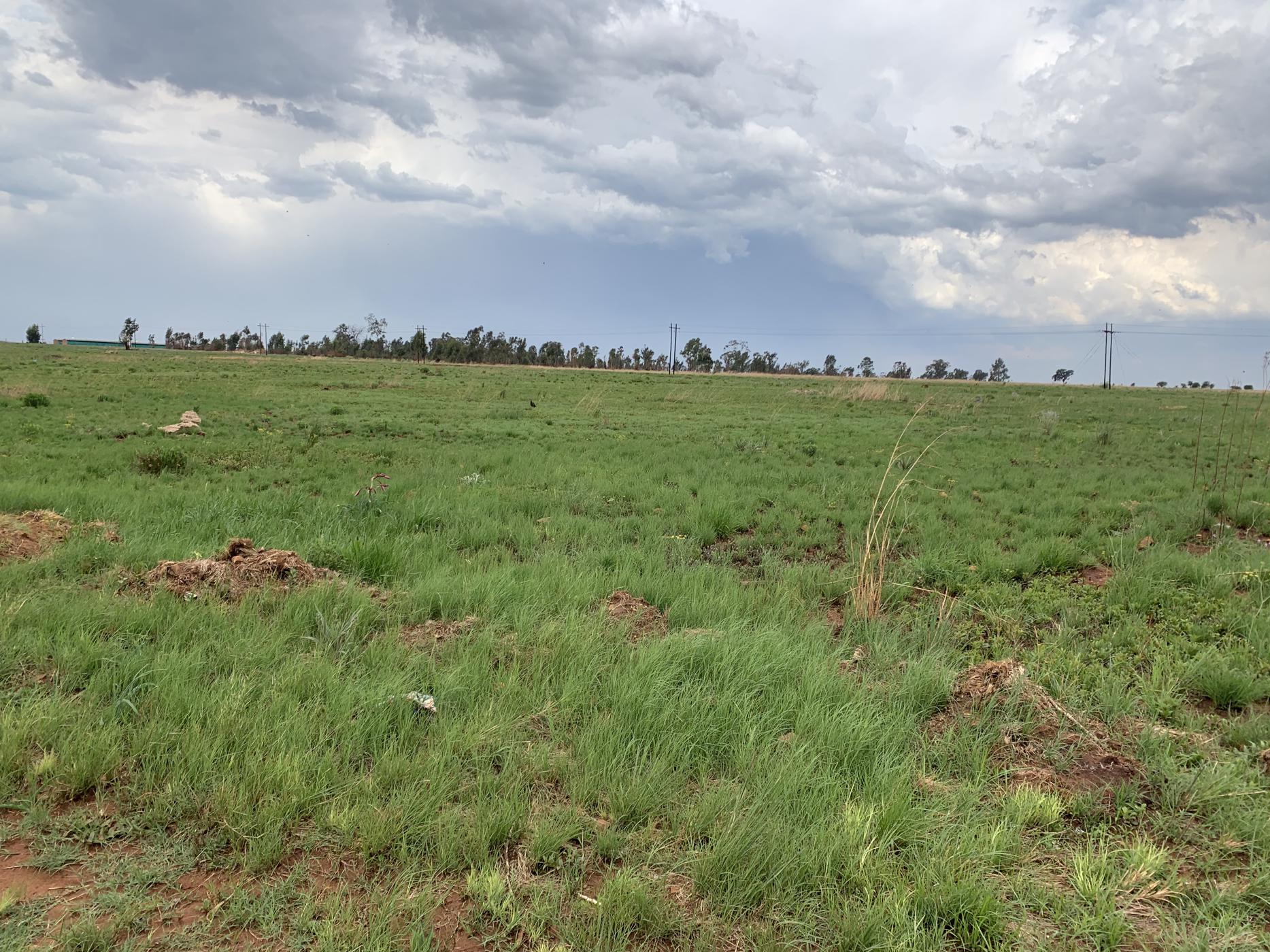Farm vacant land for sale in Bronkhorstspruit - PRN1465230