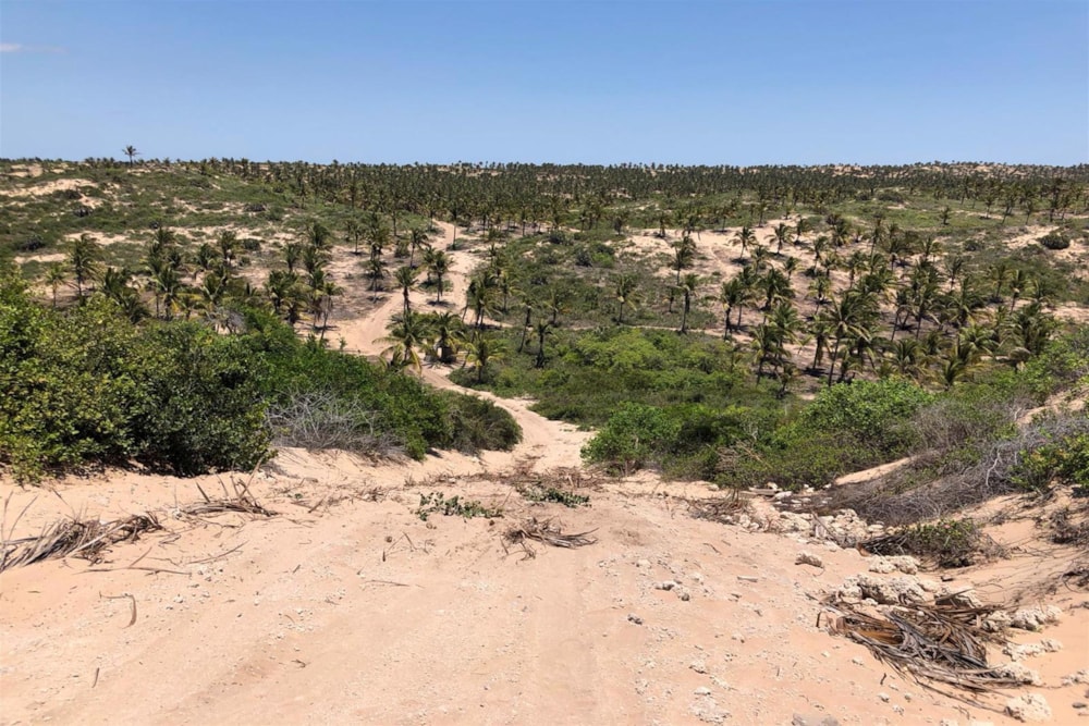 Beach bungalow for sale in Praia do Tofo, Mozambique - 3MQ1467401