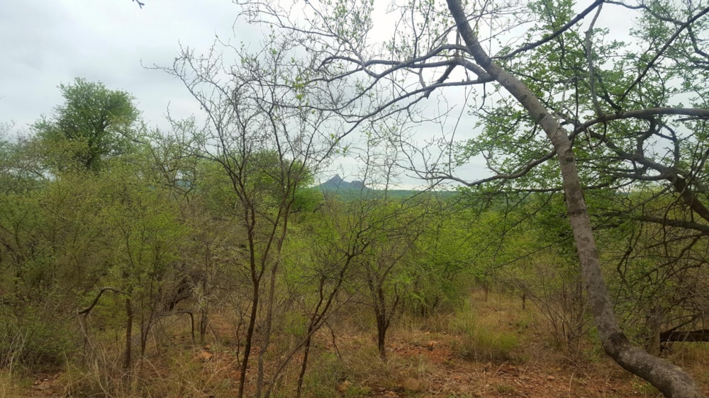 Residential vacant land sold in Elephant Rock Eco Estate - 1HS1664759 Residential vacant land sold in Elephant Rock Eco Estate - 1HS1664759