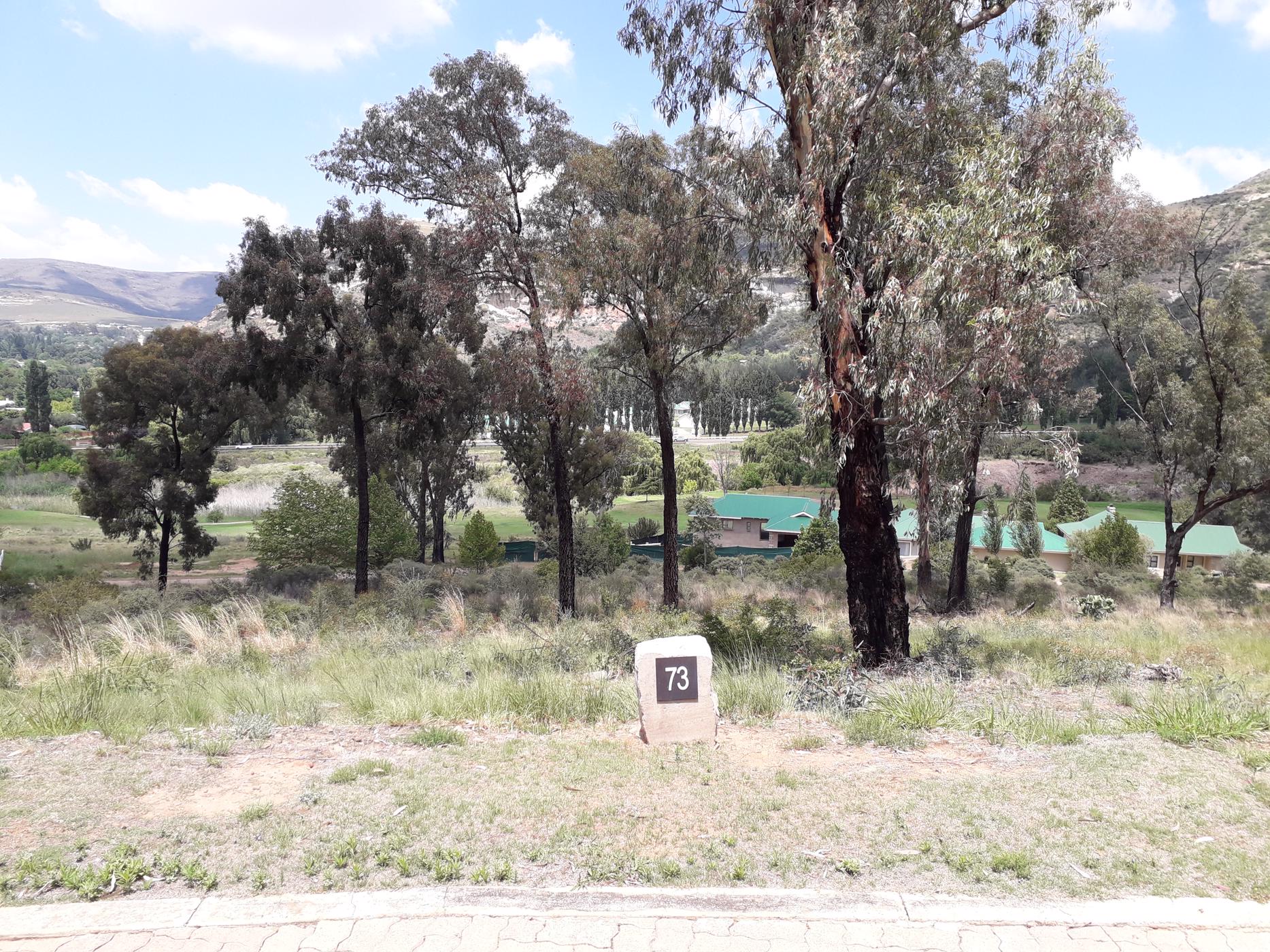 Vacant land for sale in Clarens - 1CS1468744