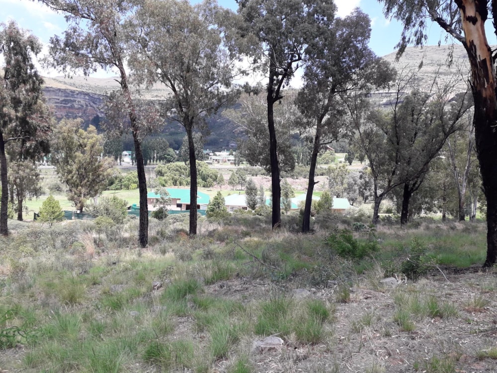 Vacant land for sale in Clarens - 1CS1468744 Vacant land for sale in Clarens - 1CS1468744