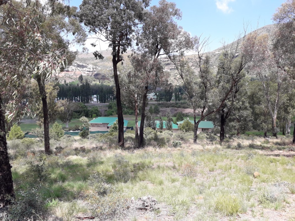 Vacant land for sale in Clarens - 1CS1468744 Vacant land for sale in Clarens - 1CS1468744