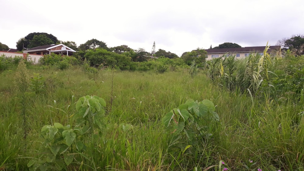 Vacant land for sale in Margate - 1PX1470582
