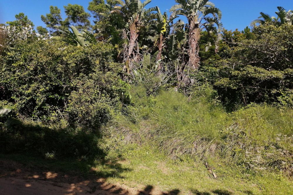 Residential vacant land for sale in Palm Beach - 1PD1471847 Residential vacant land for sale in Palm Beach - 1PD1471847