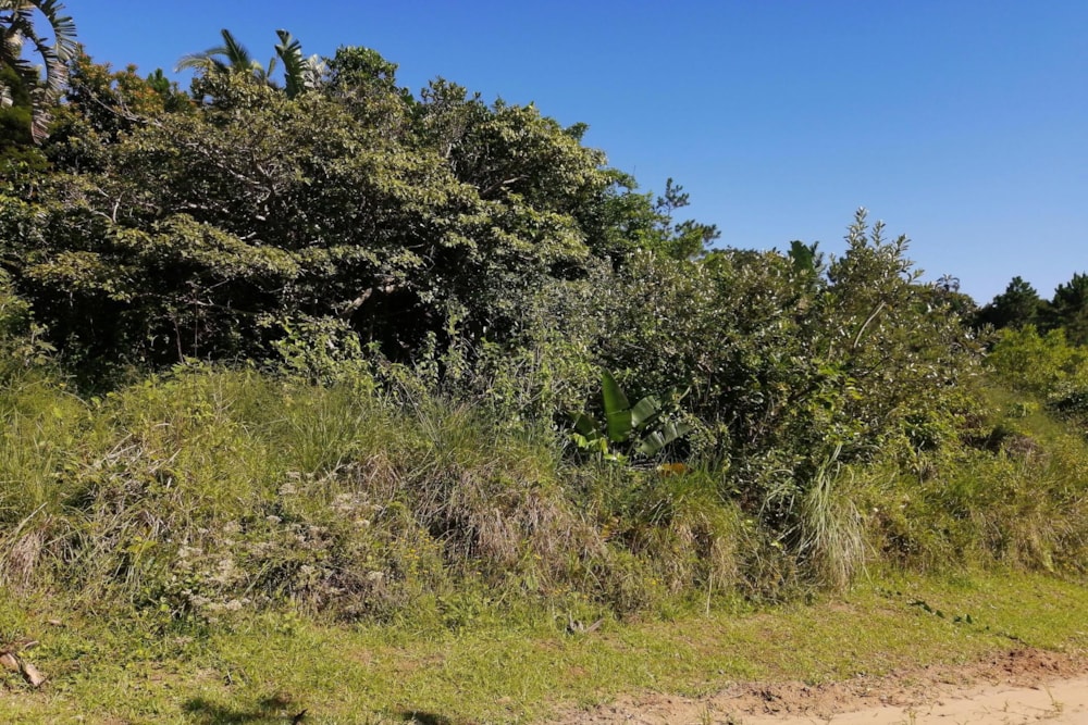 Residential vacant land for sale in Palm Beach - 1PD1471847 Residential vacant land for sale in Palm Beach - 1PD1471847