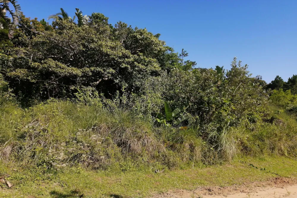 Residential vacant land for sale in Palm Beach - 1PD1471847 Residential vacant land for sale in Palm Beach - 1PD1471847