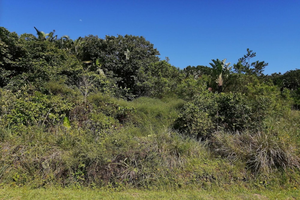 Residential vacant land for sale in Palm Beach - 1PD1471847 Residential vacant land for sale in Palm Beach - 1PD1471847