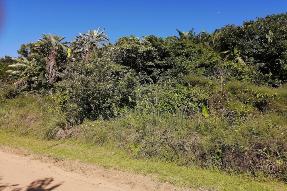 Residential vacant land for sale in Palm Beach - 1PD1471847 Residential vacant land for sale in Palm Beach - 1PD1471847