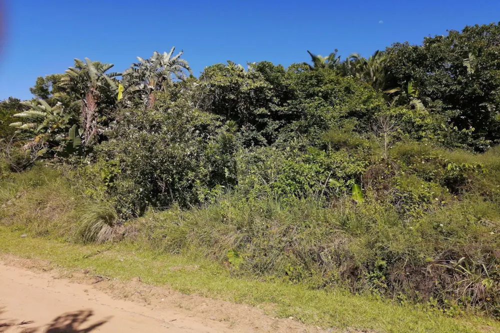 Residential vacant land for sale in Palm Beach - 1PD1471847 Residential vacant land for sale in Palm Beach - 1PD1471847