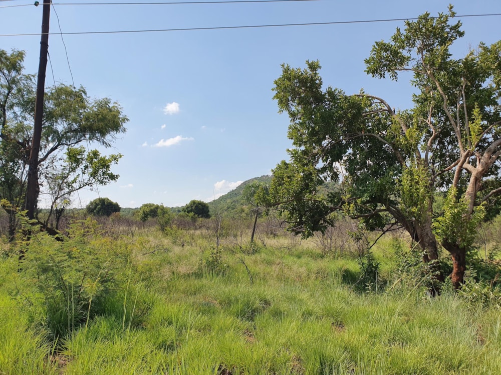 Commercial vacant land for sale in Mooinooi - 1HR1471985 Commercial vacant land for sale in Mooinooi - 1HR1471985