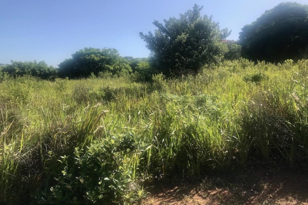 Residential vacant land for sale in Hilltop Estate - 1BD1472648 Residential vacant land for sale in Hilltop Estate - 1BD1472648