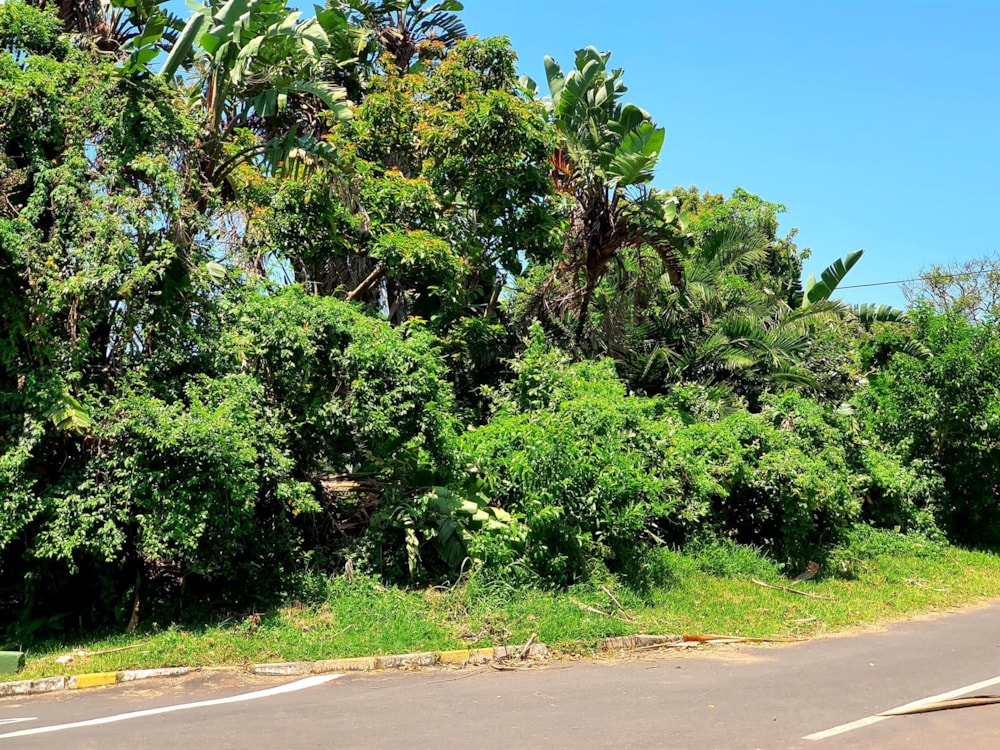 Commercial vacant land for sale in Marina Beach - 1PD1472062 Commercial vacant land for sale in Marina Beach - 1PD1472062