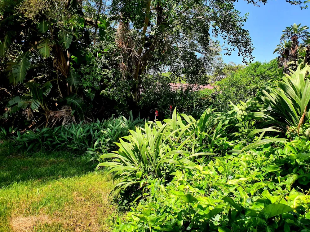 Commercial vacant land for sale in Marina Beach - 1PD1472062 Commercial vacant land for sale in Marina Beach - 1PD1472062