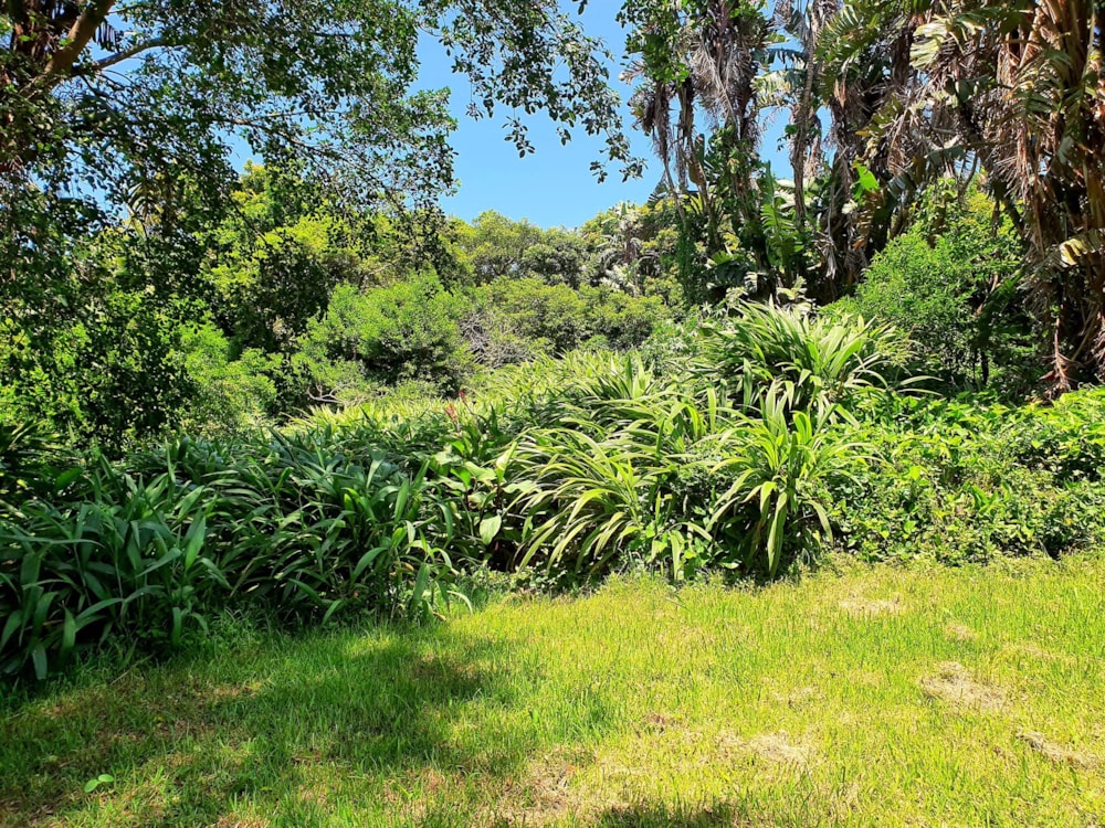 Commercial vacant land for sale in Marina Beach - 1PD1472062