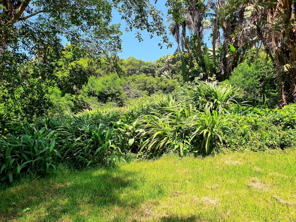 Commercial vacant land for sale in Marina Beach - 1PD1472062 Commercial vacant land for sale in Marina Beach - 1PD1472062