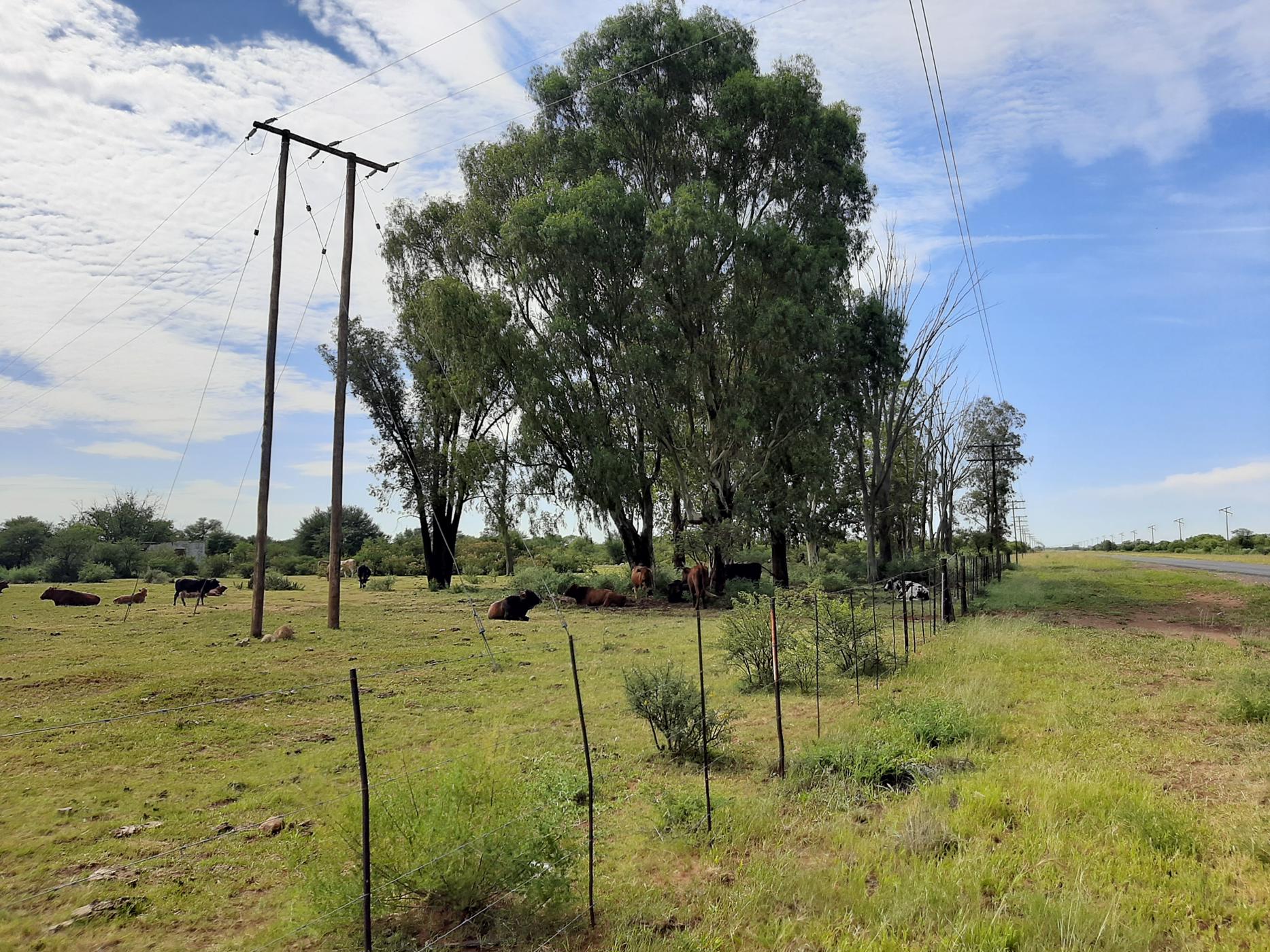 Aquaculture farm for sale in Schweizer-Reneke - 1KJ1473145