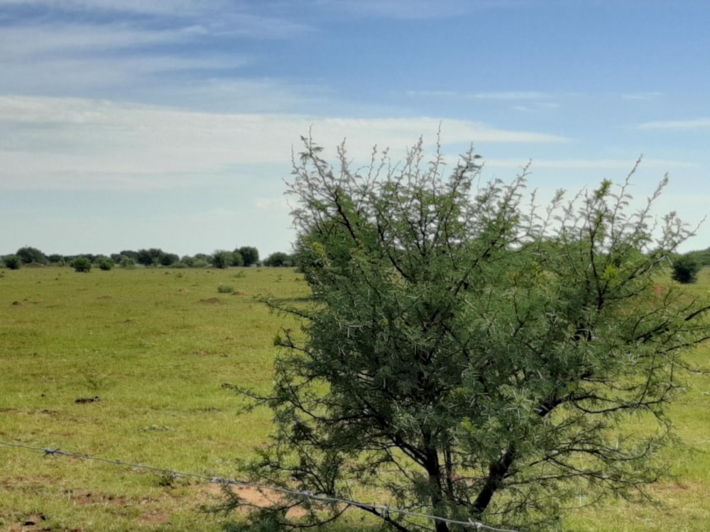 Aquaculture farm for sale in Schweizer-Reneke - 1KJ1473145 Aquaculture farm for sale in Schweizer-Reneke - 1KJ1473145