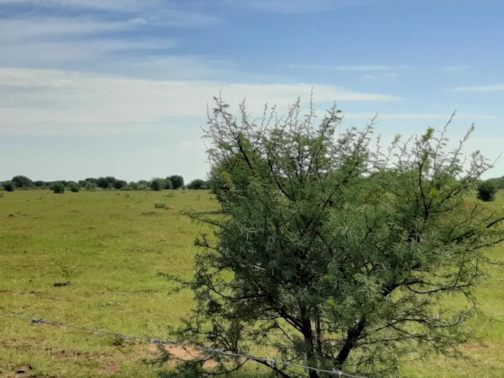 Aquaculture farm for sale in Schweizer-Reneke - 1KJ1473145 Aquaculture farm for sale in Schweizer-Reneke - 1KJ1473145