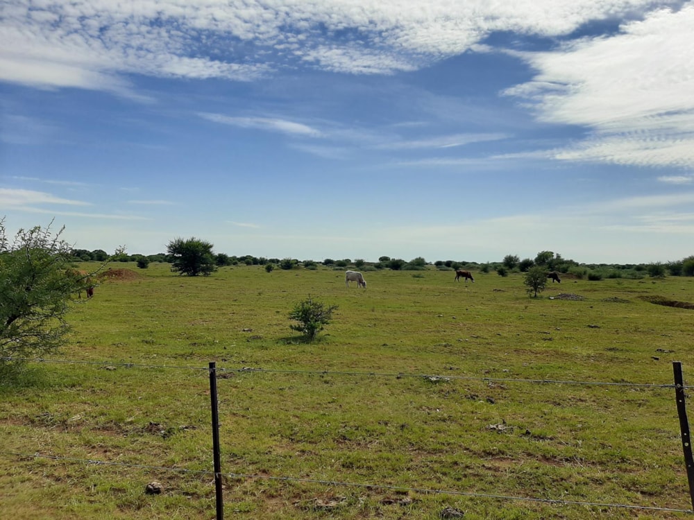 Aquaculture farm for sale in Schweizer-Reneke - 1KJ1473145 Aquaculture farm for sale in Schweizer-Reneke - 1KJ1473145