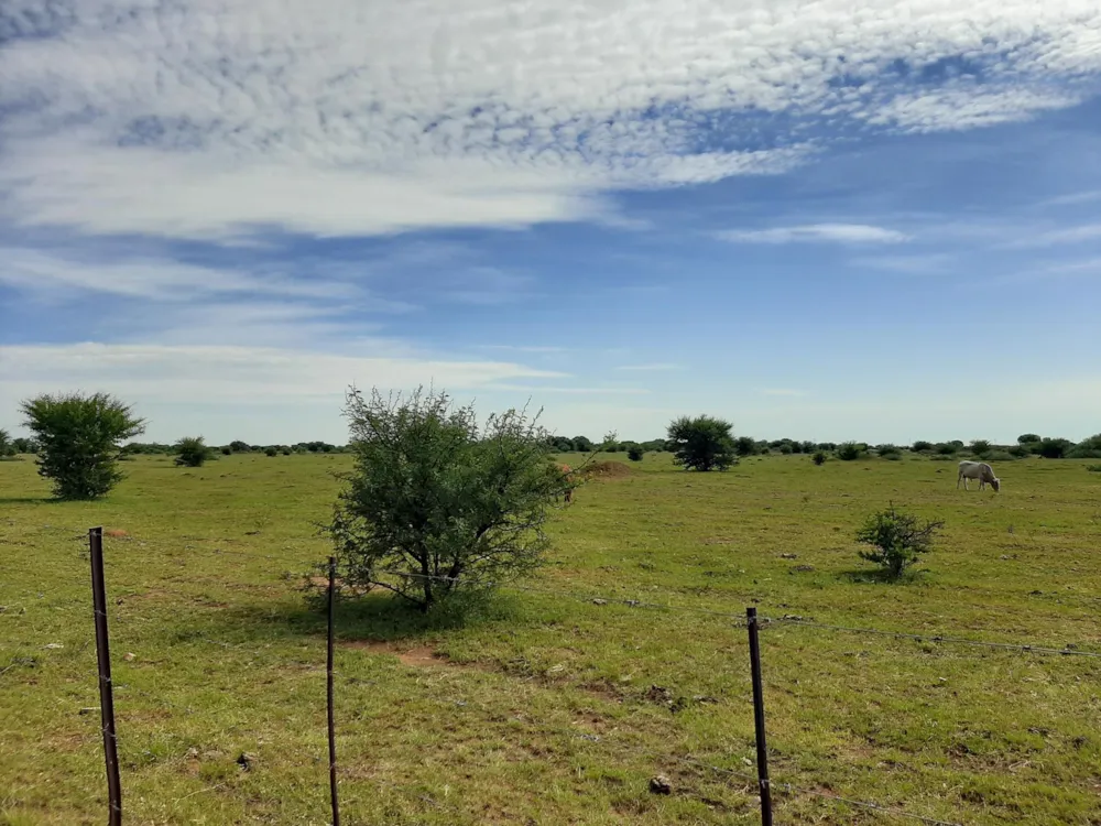 Aquaculture farm for sale in Schweizer-Reneke - 1KJ1473145 Aquaculture farm for sale in Schweizer-Reneke - 1KJ1473145