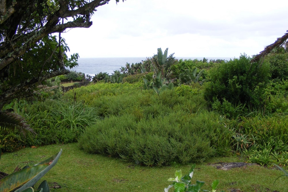 House for sale in Port Edward - 1PD1474265 House for sale in Port Edward - 1PD1474265