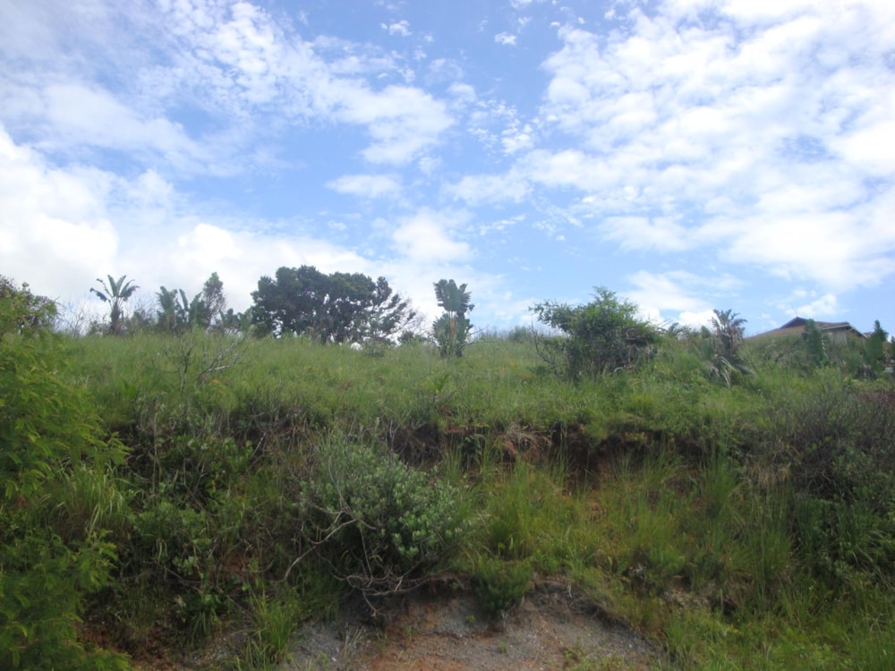 Vacant land for sale in Marburg - 1PX1474964