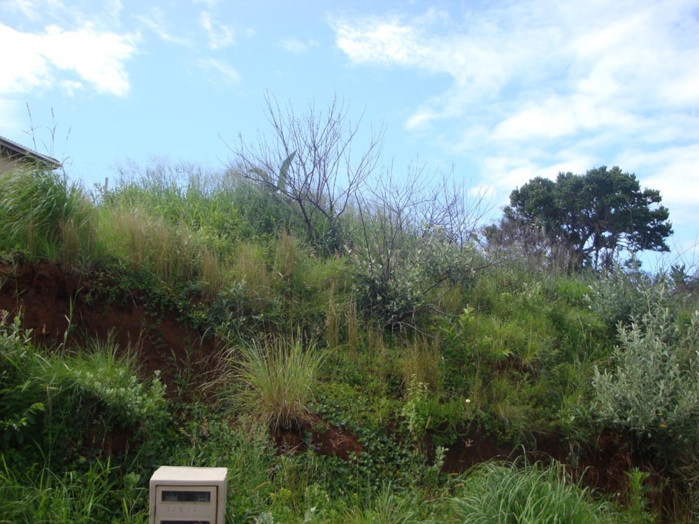 Vacant land for sale in Marburg - 1PX1474964