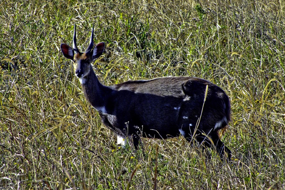 Residential vacant land for sale in Leisure Bay - 1PD1475367