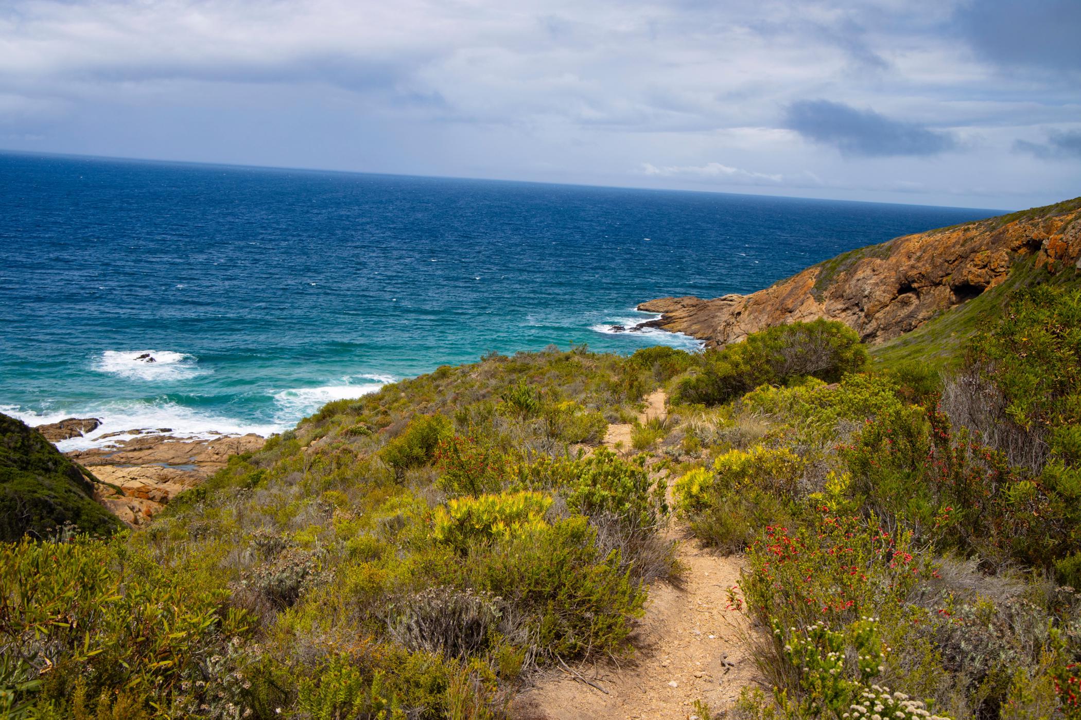 Farm vacant land for sale in George Rural - GEO1476227