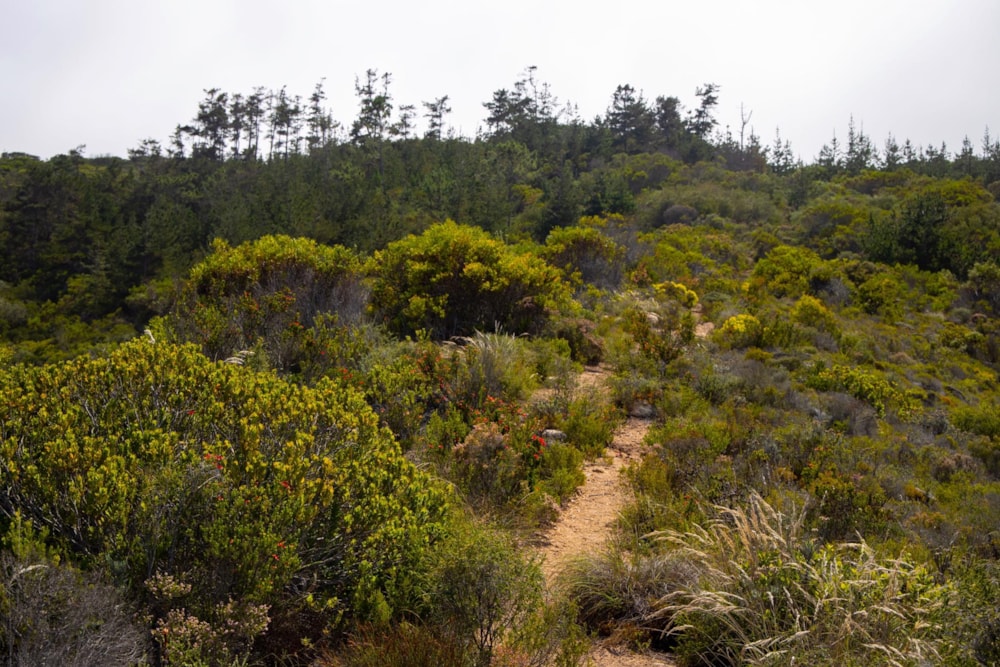 Farm vacant land for sale in George Rural - GEO1476227 Farm vacant land for sale in George Rural - GEO1476227