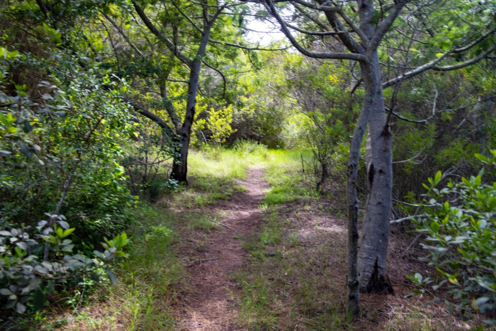 Farm vacant land for sale in George Rural - GEO1476227 Farm vacant land for sale in George Rural - GEO1476227