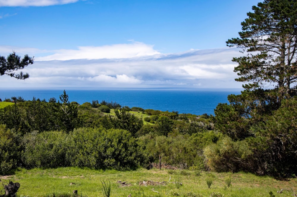 Farm vacant land for sale in George Rural - GEO1476227 Farm vacant land for sale in George Rural - GEO1476227