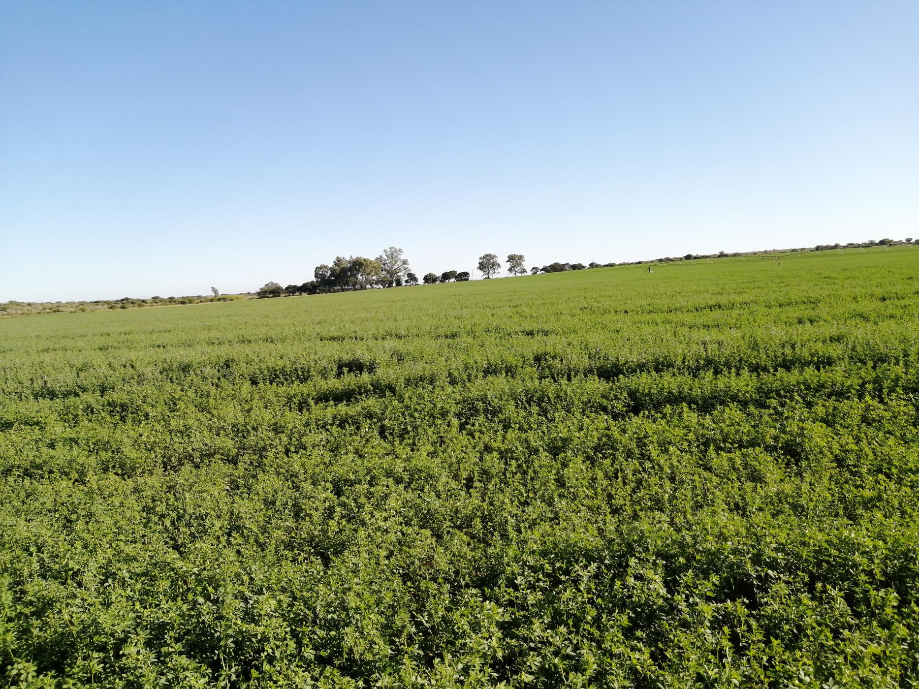 Farm vacant land for sale in Jan Kempdorp - 1RN1477268