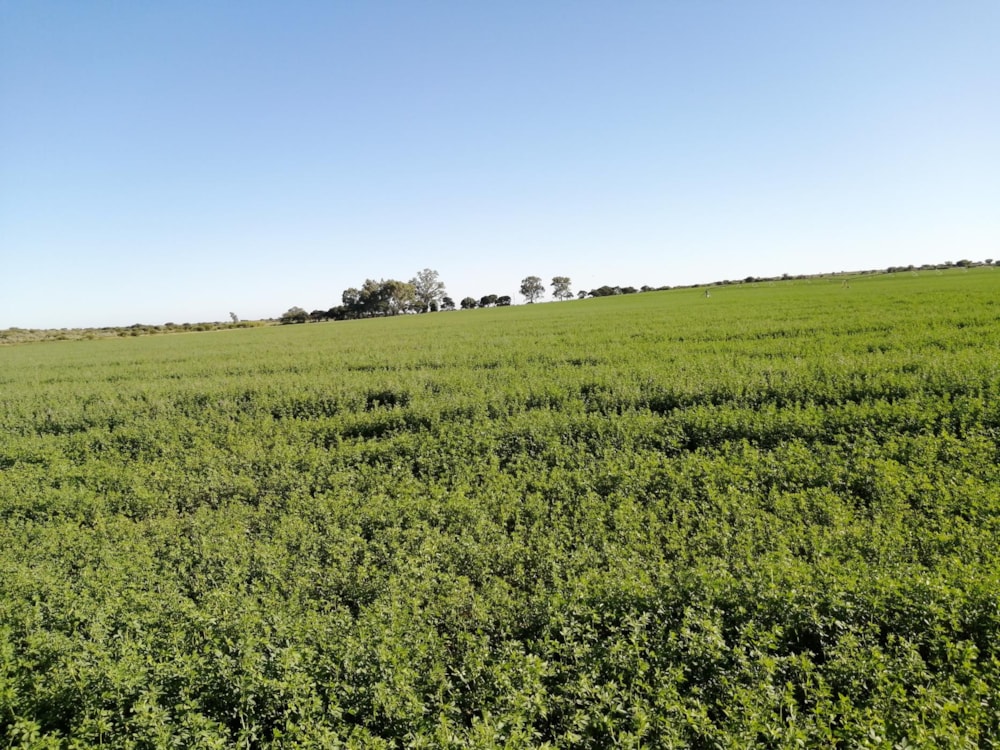 Farm vacant land for sale in Jan Kempdorp - 1RN1477268