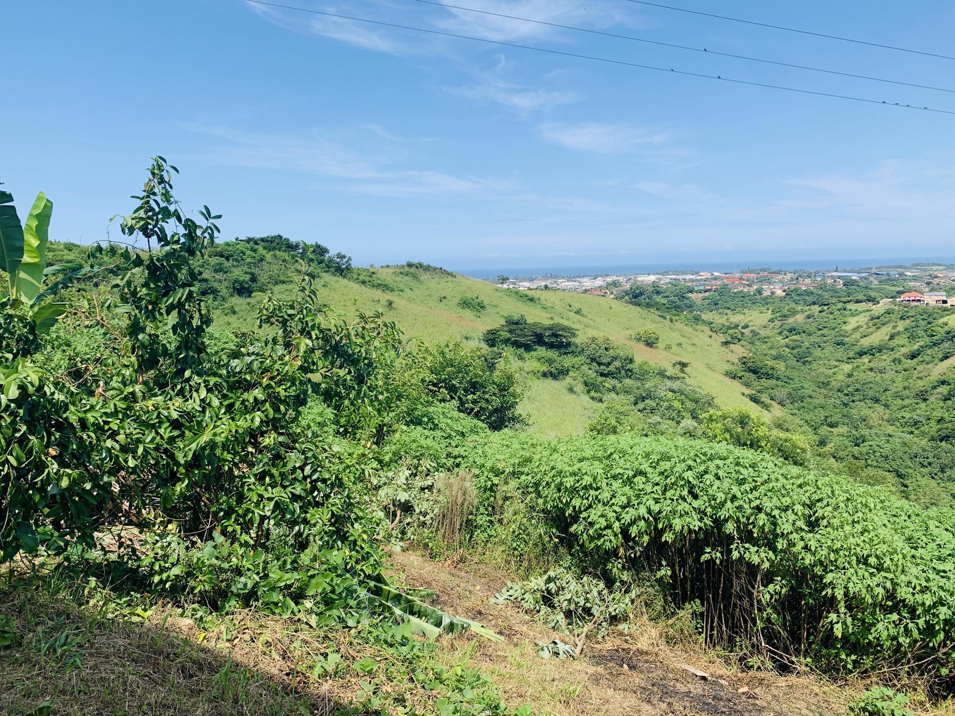 House for sale in Marburg - 1PX1478049