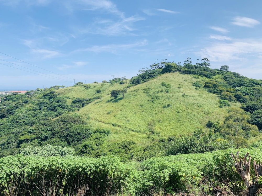 House for sale in Marburg - 1PX1478049