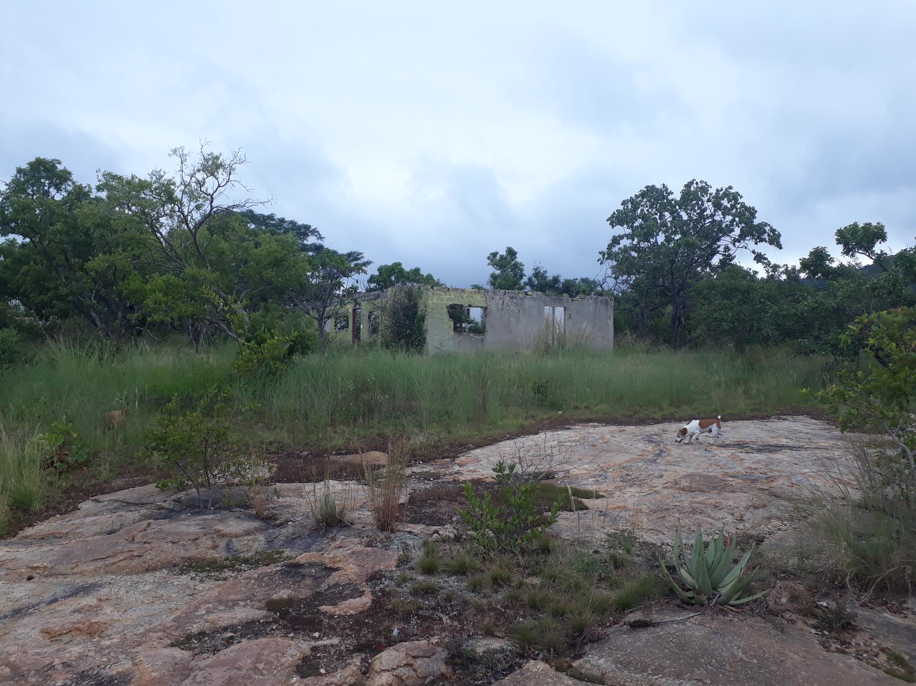 Farm vacant land sold in Nelspruit (Mbombela) - 1NS1479811