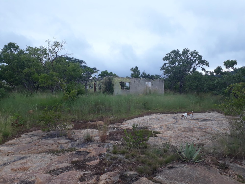 Farm vacant land sold in Nelspruit (Mbombela) - 1NS1479811 Farm vacant land sold in Nelspruit (Mbombela) - 1NS1479811