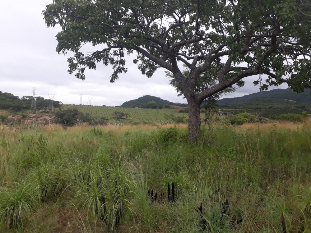 Farm vacant land sold in Nelspruit (Mbombela) - 1NS1479811 Farm vacant land sold in Nelspruit (Mbombela) - 1NS1479811