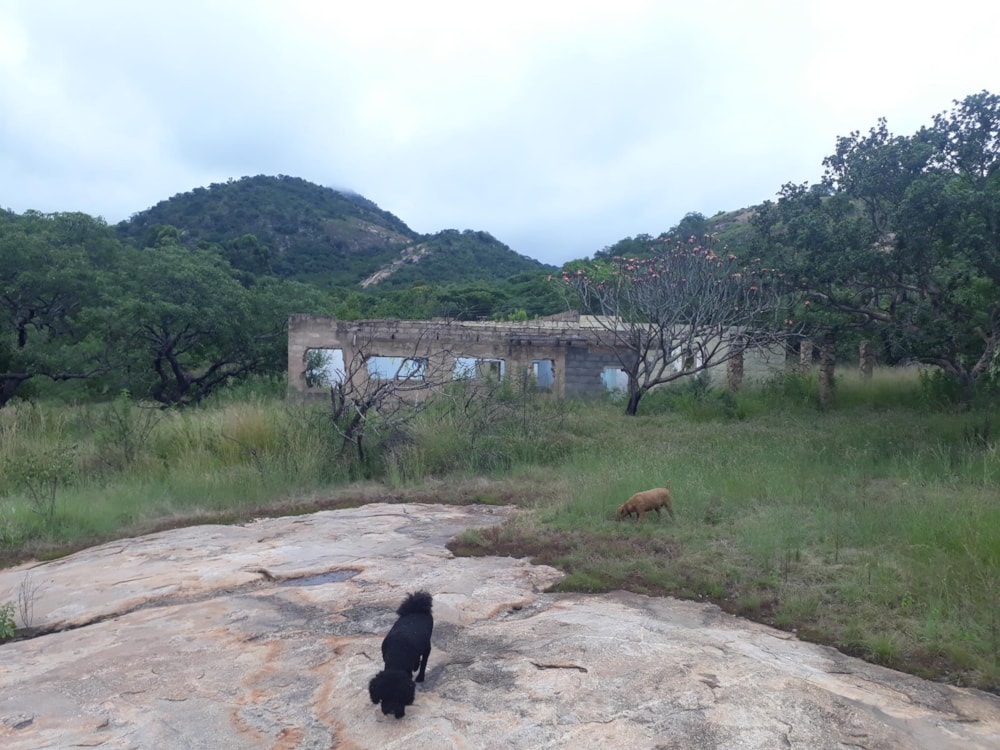 Farm vacant land sold in Nelspruit (Mbombela) - 1NS1479811 Farm vacant land sold in Nelspruit (Mbombela) - 1NS1479811