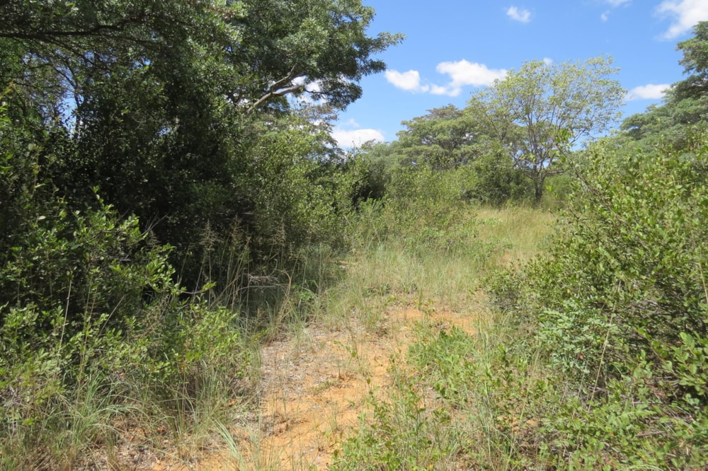Vacant land for sale in Modimolle Rural - 1MM1479032