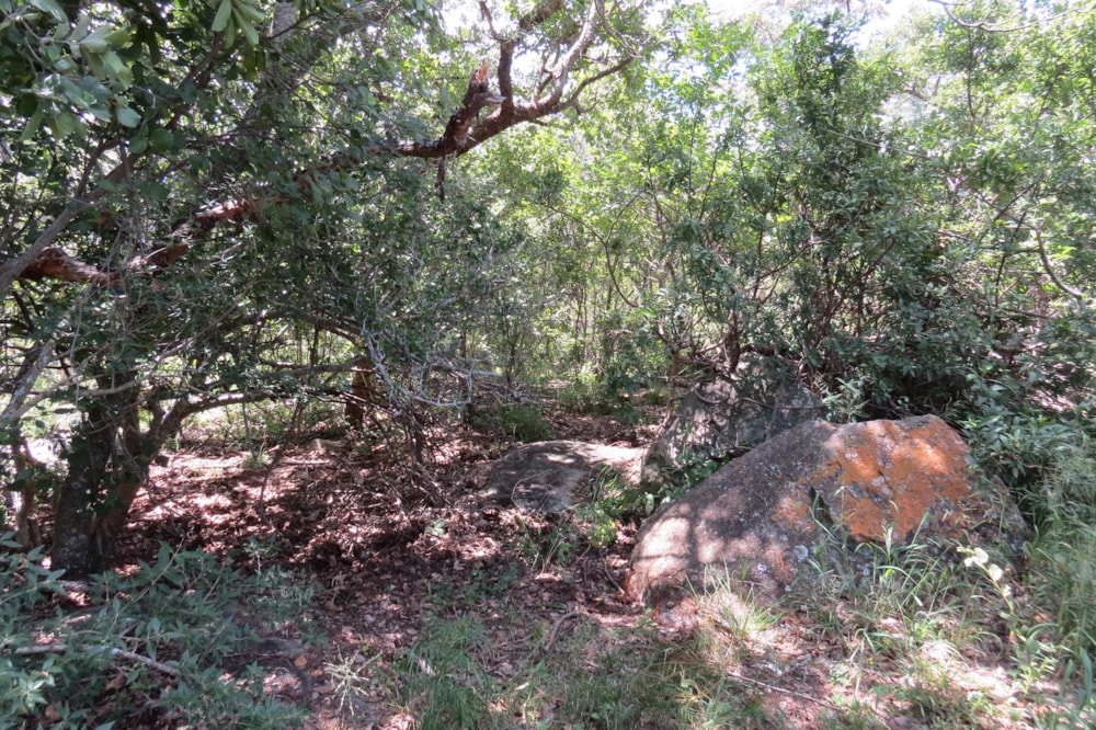 Vacant land for sale in Modimolle Rural - 1MM1479032