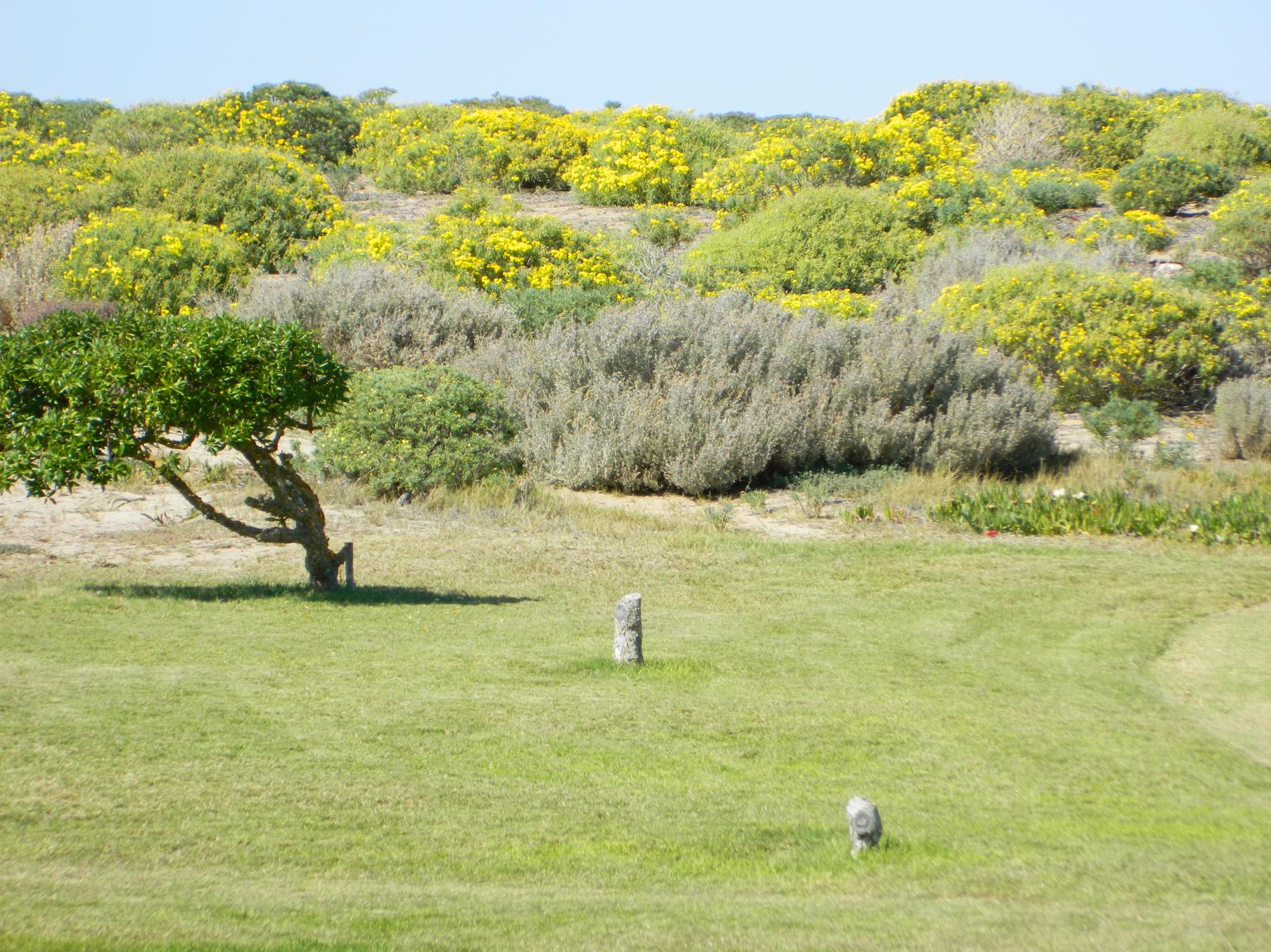 Commercial business for sale in Kleinsee - 1NA1480692