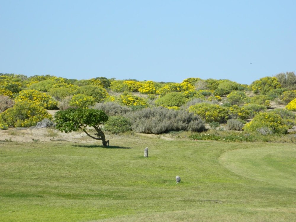 Commercial business for sale in Kleinsee - 1NA1480692 Commercial business for sale in Kleinsee - 1NA1480692