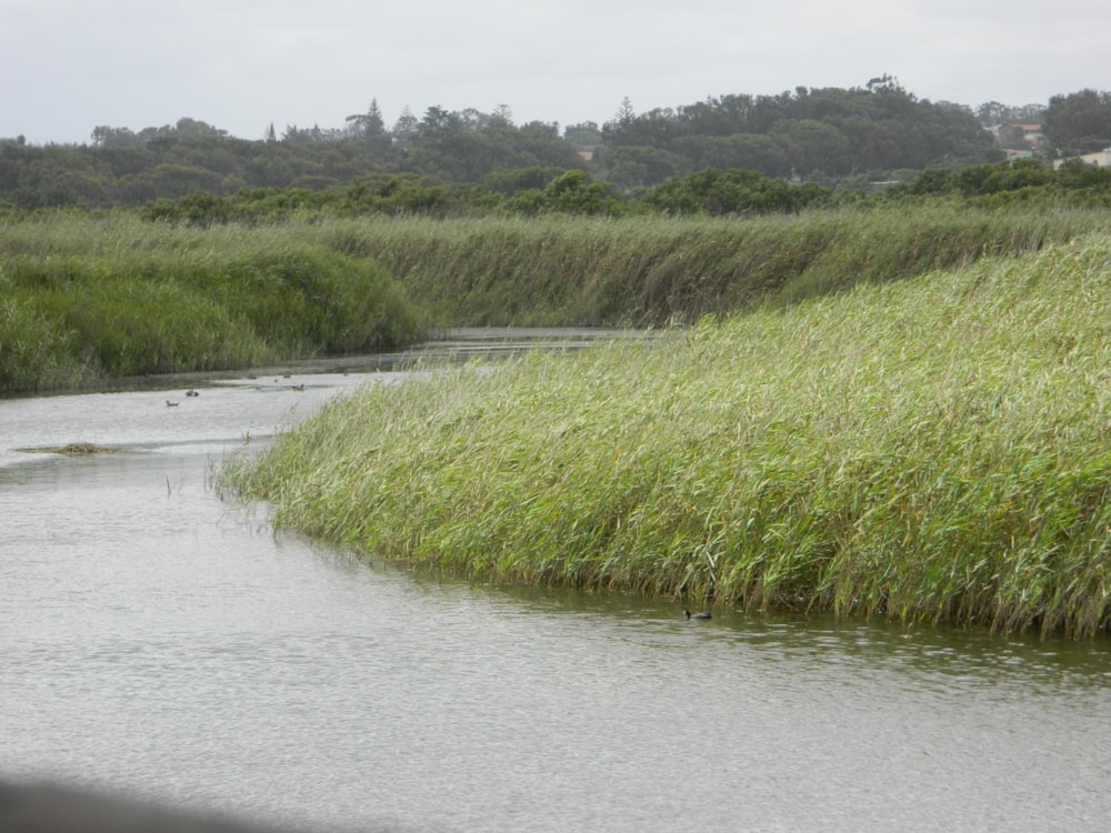 Commercial business for sale in Kleinsee - 1NA1480692 Commercial business for sale in Kleinsee - 1NA1480692