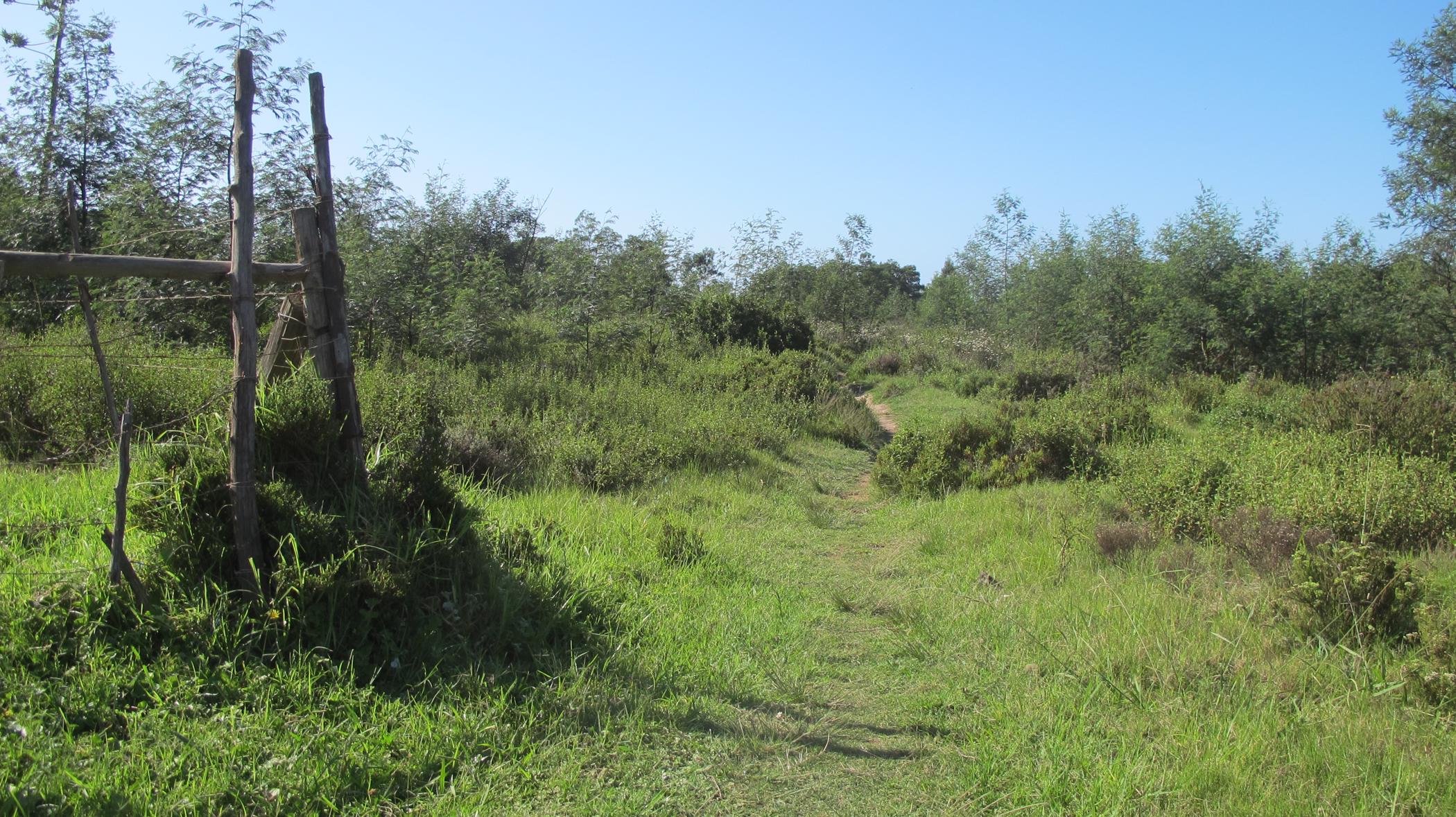 Residential vacant land for sale in Humansdorp - 1JF1480916